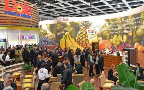 日本东京果蔬展览会-Vegexpo-东京-2025年03月11日~03月14日